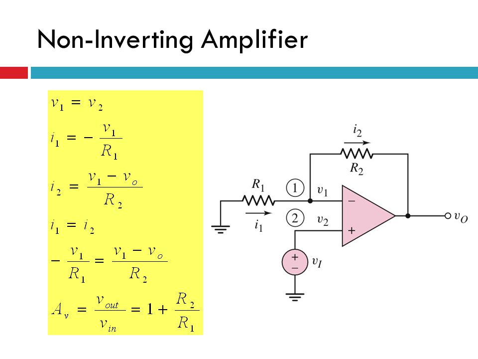 non investing amplifier with negative feedback biology